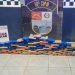 Morador de Rondônia é preso com mais de 100 kg de cocaína em Mato Grosso