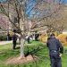 Mulher mata 6 pessoas em escola de Nashville, nos EUA; atiradora foi morta pela polícia