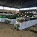 Apae de Jaru realiza mais uma Feira de Flores e Plantas