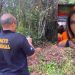 Cantora trans que concorreu a vereadora é encontrada decapitada, com as mãos e os pés amarrados em área de mata