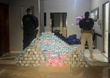 PRF em Rondônia apreende mais de 270 kg de skunk; veja os vídeos