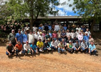 Técnicos da Emater de todo o Estado visitam propriedade rural na Linha 625, em Jaru