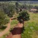 Câmara relembra: Caminho Rural