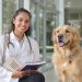 Mercado veterinário em expansão abre novas possibilidades de carreira