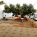 Prefeitura de Jaru constrói calçada no entorno da escola Pato Donald