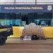 A partir de apreensão recorde de cocaína, PF deflagra a operação Carga Prensada e cumpre mandados em RO e outros 7 estados