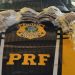 Em Ji-Paraná, PRF apreende mais de 11 Kg de skunk