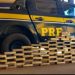 PRF apreende quase 110 Kg de cocaína só no final de semana em Rondônia