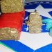 THEOBROMA – Polícia Militar encontra quase 1 kg de maconha escondida em chácara