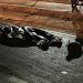 Três pessoas são assassinadas em frente à casa de shows na noite desta segunda-feira