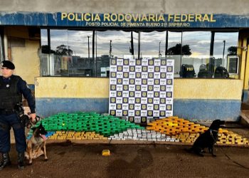 PRF e PM apreendem mais de 300 Kg de cocaína escondida em caminhão; veja vídeos