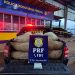 PRF apreende mais de 300 Kg de agrotóxicos sendo transportados em caminhão na BR-364