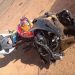 Motociclista morre depois de bater em carreta na BR-364 em RO; motorista fugiu sem prestar socorro