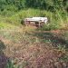 Ambulância cai em ribanceira na BR-429, no interior de Rondônia