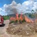 JARU – Corpo de Bombeiros é acionado para controlar incêndio em vegetação no Residencial Morumbi; veja vídeos