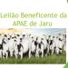 Vem aí o 4º Leilão Virtual da APAE de Jaru