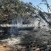JARU – Corpo de Bombeiros age rápido e impede que fogo em vegetação atingisse residência no Setor 02; veja o vídeo