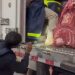 Motorista sai de RO levando mais de 400 kg de drogas para MG em caminhão frigorífico mas é preso no MT