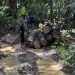OPERAÇÃO – PF deflagra operação em combate aos crime ambientais na reserva indígena Igarapé Lage/RO