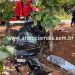 JARU – Motorista morre após sair da estrada na RO-463 e colidir em árvores