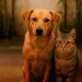 Castração Cidadã: Prefeitura de Jaru inicia cadastro para castração gratuita de cães e gatos