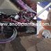 Adolescente em bicicleta motorizada morre após ser colidido por veículo na BR-364