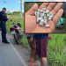 Casal é interceptado em motocicleta e flagrado com 40 pedras de crack entre Governador Jorge Teixeira e Jaru
