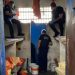 Jovem de 18 anos ordenava mortes em Rondônia da cadeia pública de Barra do Garças/MT, aponta investigação