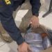 PRF em Rondônia apreende aproximadamente 10 kg de cocaína dentro de encomenda em bagageiro de ônibus