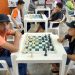 Abertas as inscrições para o Curso Básico e Avançado de Xadrez da Kolping
