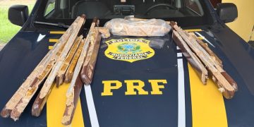 PRF em RO apreende cerca de 6 kg de cocaína na BR-364 escondidos em cadeiras de madeira; veja os vídeos