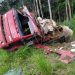 Caminhão tomba na BR-435, entre Vilhena e Colorado do Oeste