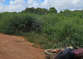 Homem é encontrado morto em uma fazenda de Machadinho com cartaz: “Assim morrem os traidores e X-9”