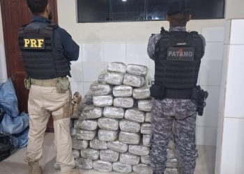 Ação conjunta da PRF em Rondônia e PMRO resulta na apreensão de mais de 180 kg de skunk