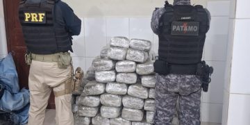 Ação conjunta da PRF em Rondônia e PMRO resulta na apreensão de mais de 180 kg de skunk