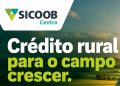 Crédito rural: quando o campo cresce, o futuro acompanha