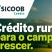 Crédito rural: quando o campo cresce, o futuro acompanha