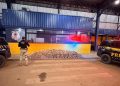 PRF em Rondônia apreende mais de 270 kg de drogas durante fiscalização na BR-364