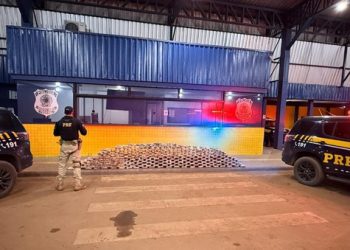 PRF em Rondônia apreende mais de 270 kg de drogas durante fiscalização na BR-364