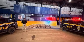 PRF em Rondônia apreende mais de 270 kg de drogas durante fiscalização na BR-364