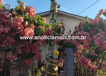 JARU – Corpo de Bombeiros é acionado para controlar princípio de incêndio no Setor 02