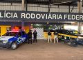PRF apreende quase 170 kg de droga após perseguição na BR-429 em Rondônia