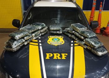PRF em Rondônia apreende mais de 13 kg de substância análoga à skunk na BR-364