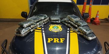PRF em Rondônia apreende mais de 13 kg de substância análoga à skunk na BR-364