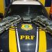 PRF em Rondônia apreende mais de 13 kg de substância análoga à skunk na BR-364