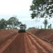 Prefeitura de Jaru finaliza patrolamento da Linha 632; equipe de obras segue com os trabalhos na Linha 614