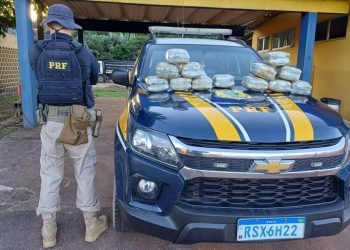 PRF em Rondônia apreende 15 kg de skunk na BR-364